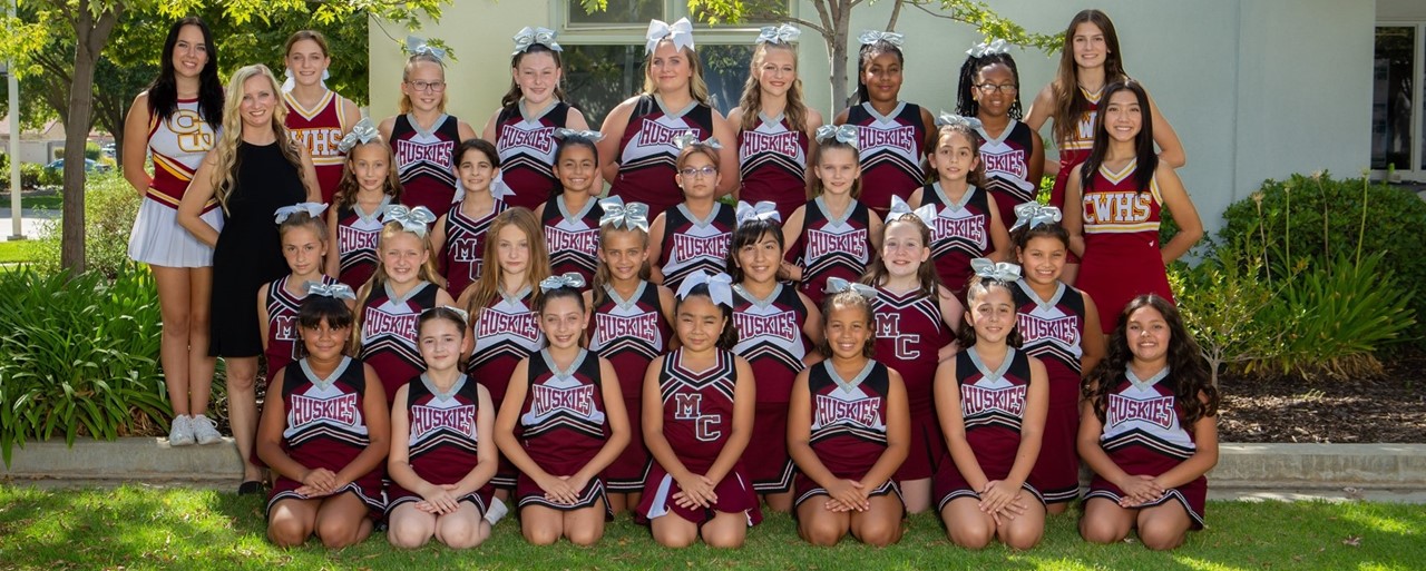 picture of 21-22 cheer squad